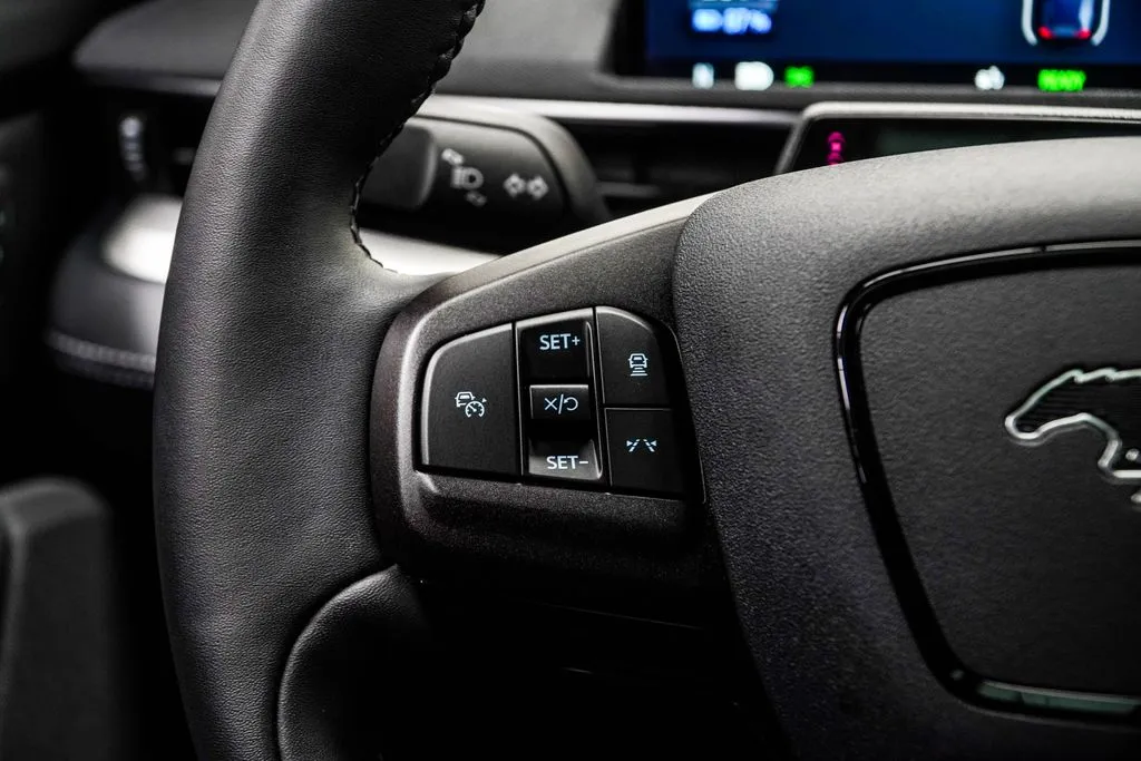2023 Ford Mustang Mach-E California Route 1, photo 24