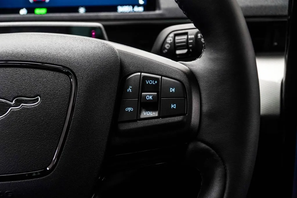 2023 Ford Mustang Mach-E California Route 1, photo 25