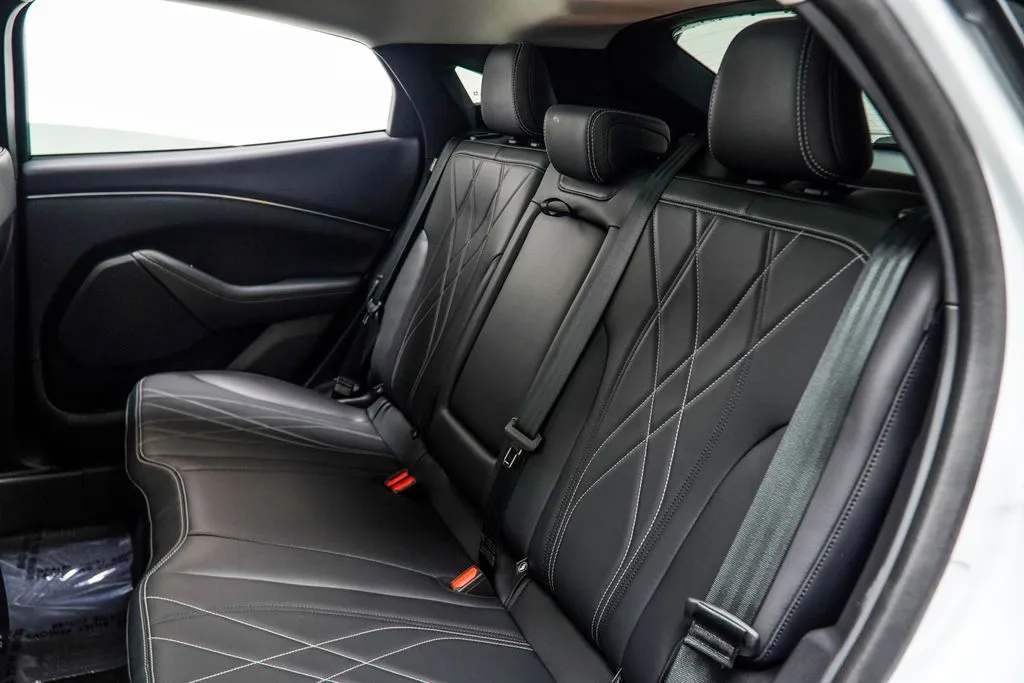 2023 Ford Mustang Mach-E California Route 1, photo 33