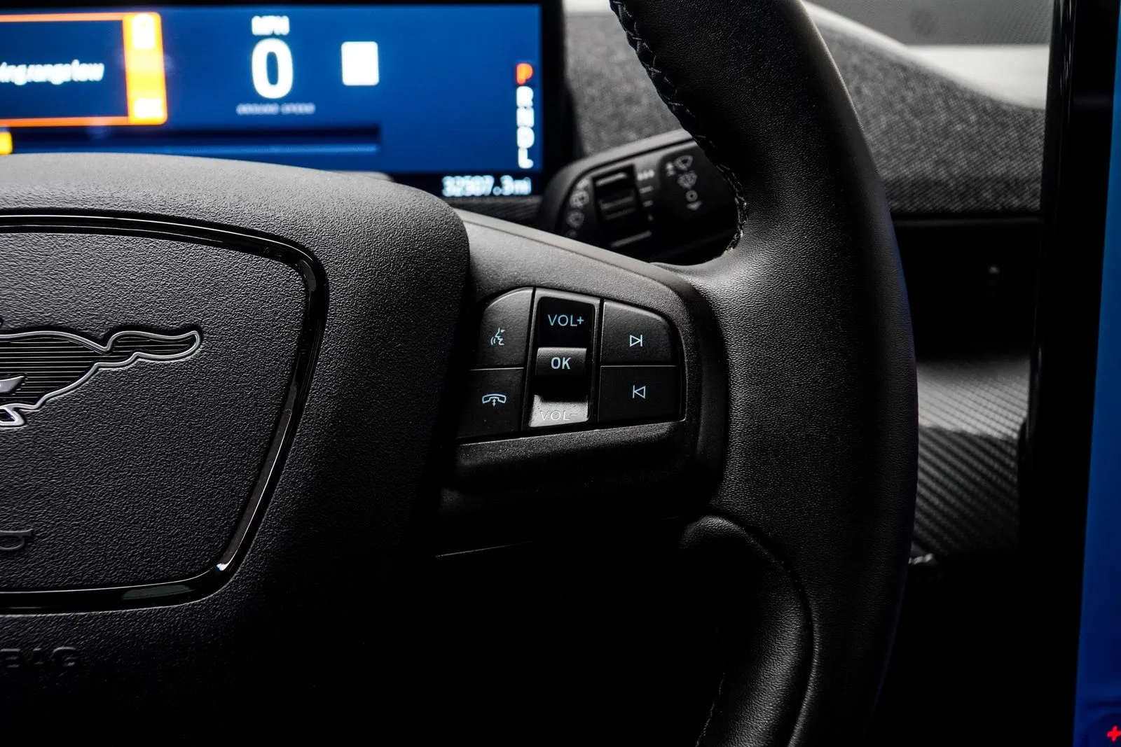 2024 Ford Mustang Mach-E Premium, photo 24