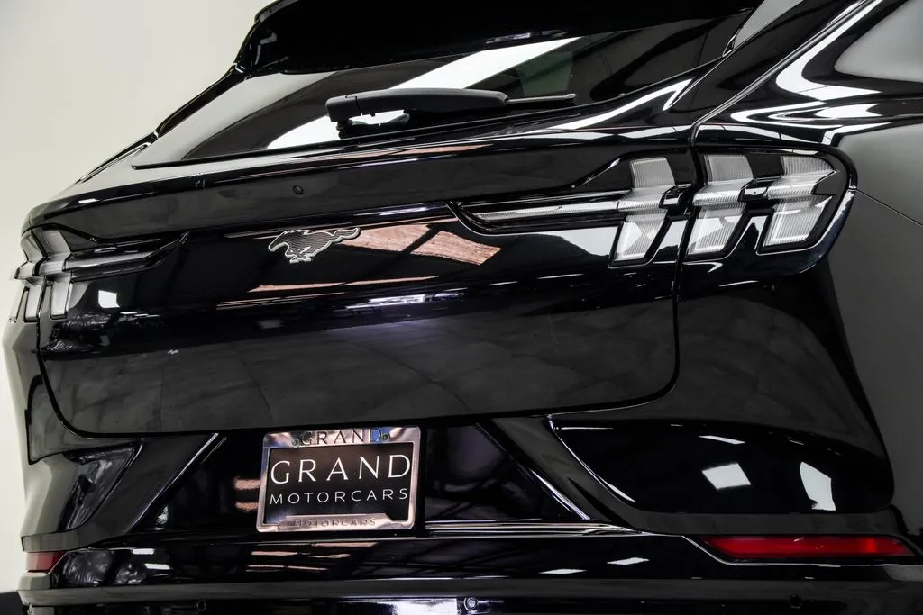 2022 Ford Mustang Mach-E Premium, photo 12