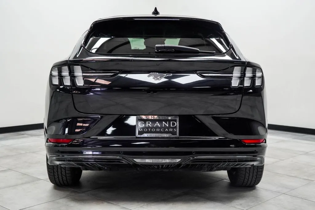 2022 Ford Mustang Mach-E Premium, photo 9