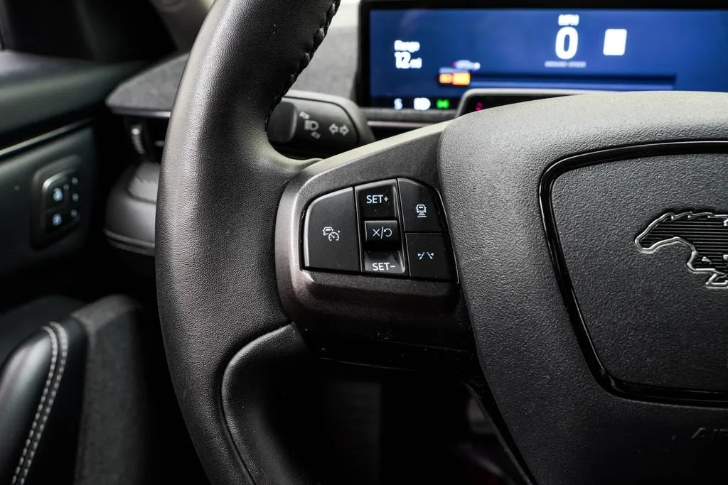 2022 Ford Mustang Mach-E Premium, photo 33
