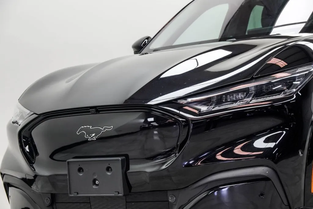 2022 Ford Mustang Mach-E Premium, photo 2
