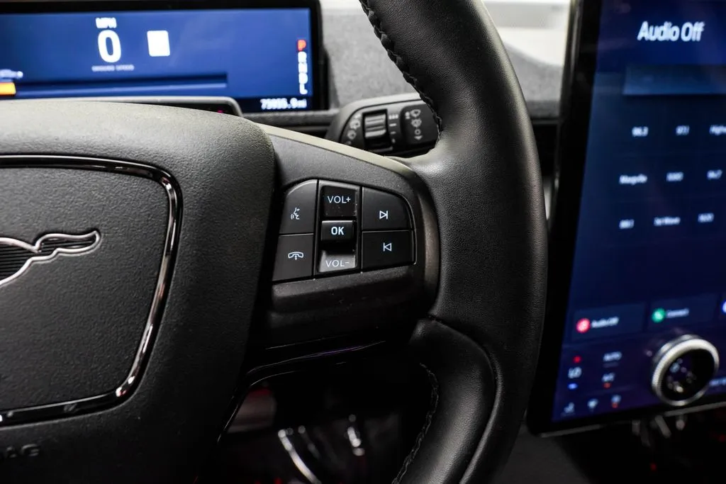 2022 Ford Mustang Mach-E Premium, photo 34