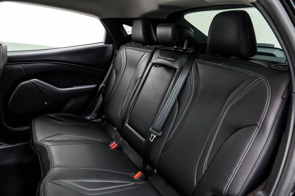 2022 Ford Mustang Mach-E Premium, photo 16